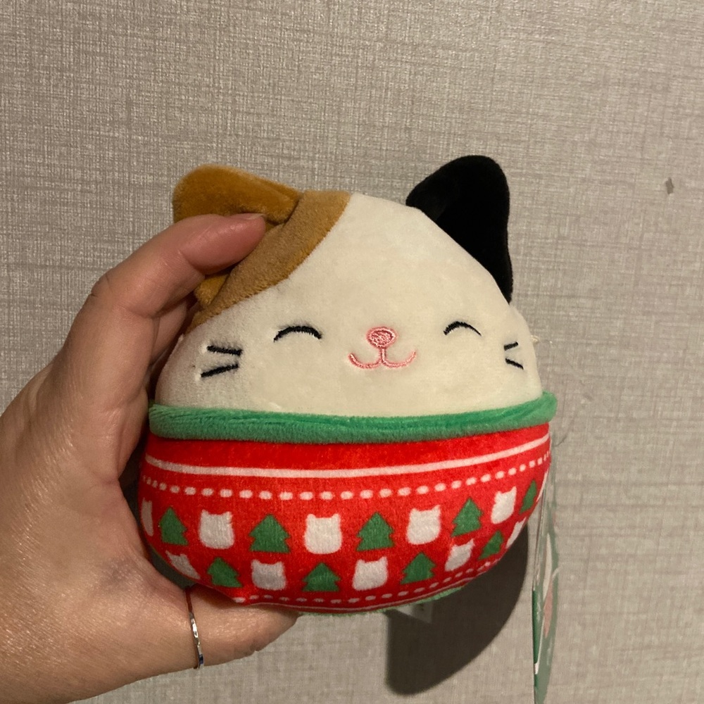 Cam in his winter sweater Squishmallow